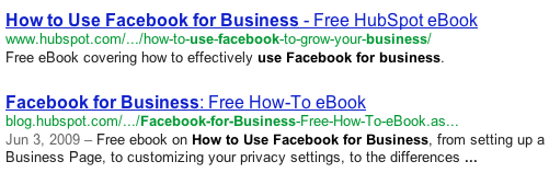 Facebook for Business SERP安置
