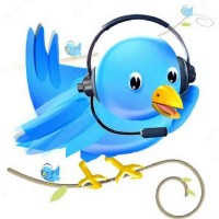 推特客户服务鸟