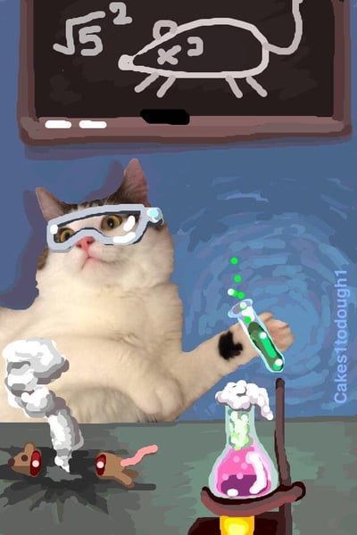 猫科学家snapchat.jpg