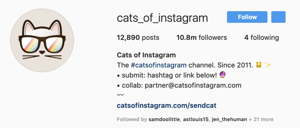 Cats of Instagram Profile Picture